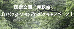 cbff43d38c93ca4c66d19a1758479fc8-1024x519
