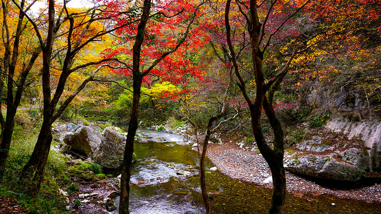 上帝釈峡の美しい紅葉