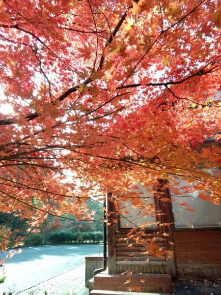 0D54CA4AF6F7D4513CAF4FD2826E17E63EE53870