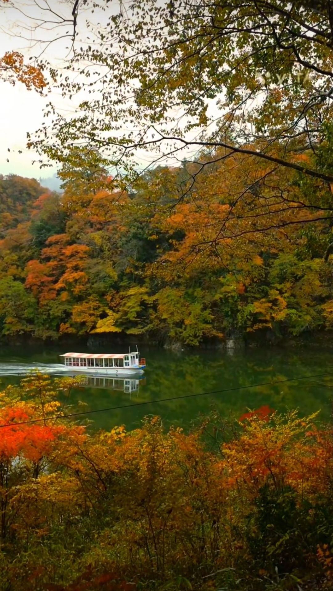 581617759_1146119364391564_1597378078710374083_n