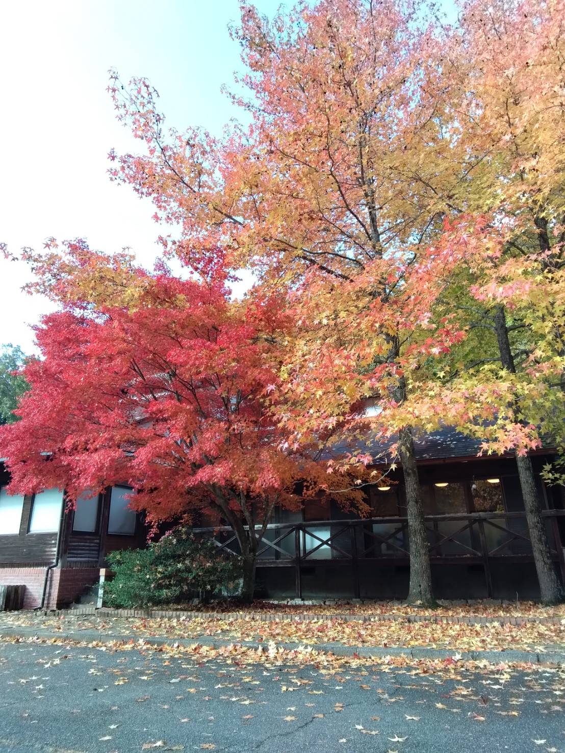 AF5FAA41DA2FB568636A940D3EDD865F2E3E9C6B